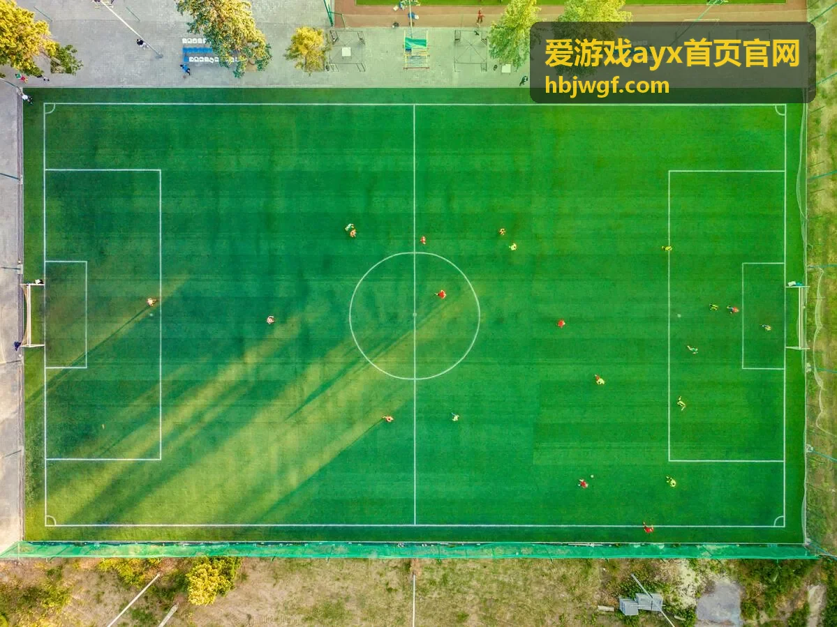 爱游戏ayx首页官网玩法攻略：操作细节与手感调整